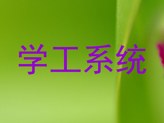 学工系统
