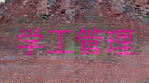 学工管理