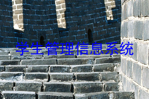 学生管理信息系统
