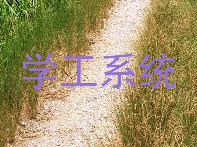学工系统