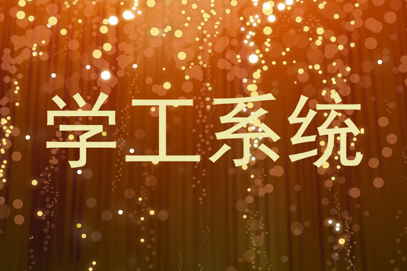 学工系统
