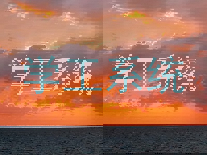 学工系统