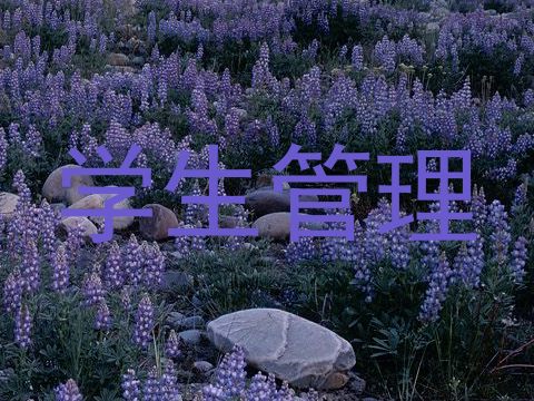 学生管理