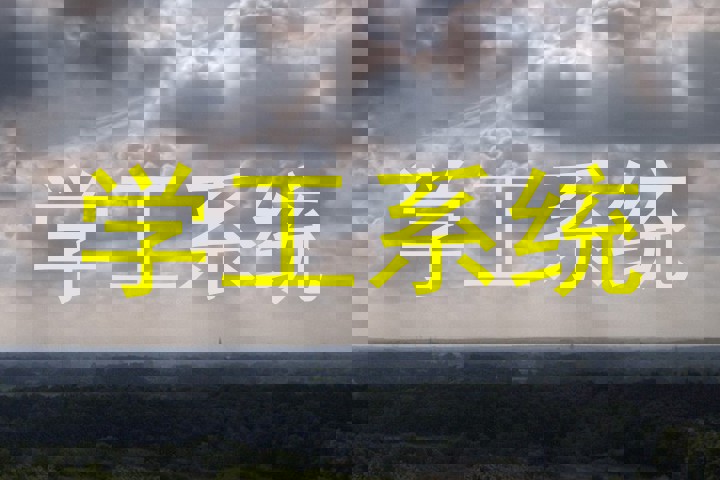 学工系统