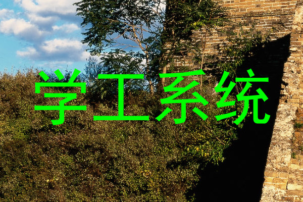 学工系统