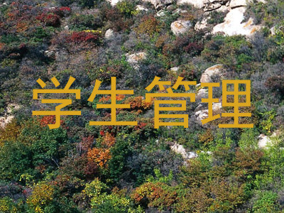 学生管理
