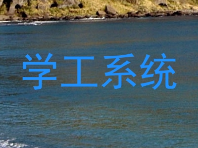 学工系统