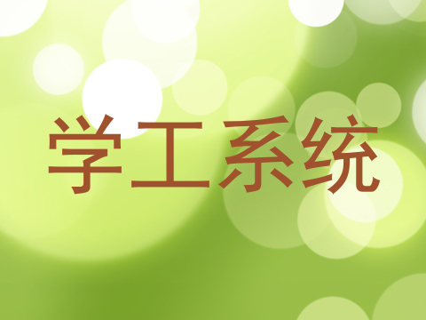 学工系统