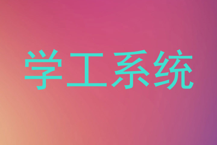 学工系统