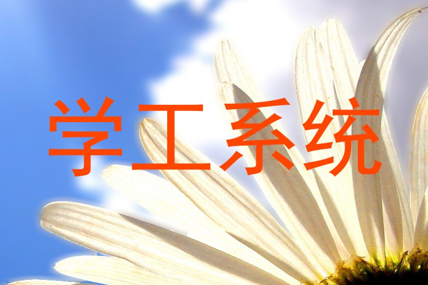 学工系统
