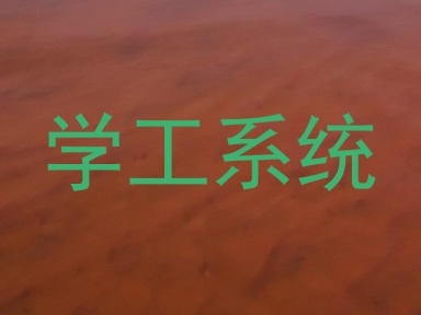 学工系统