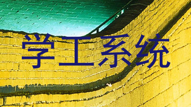 学工系统