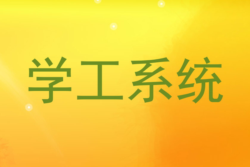 学工系统