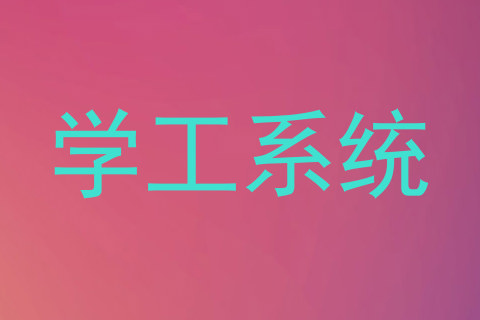 学工系统