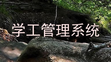 学工管理系统