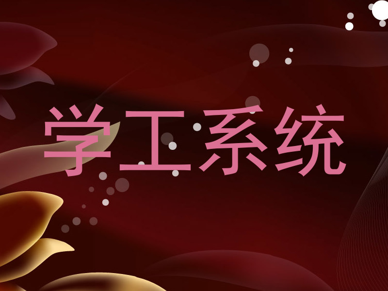 学工系统