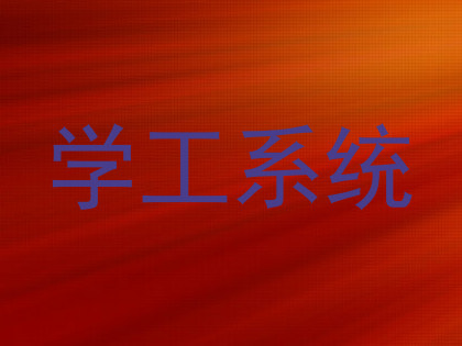 学工系统