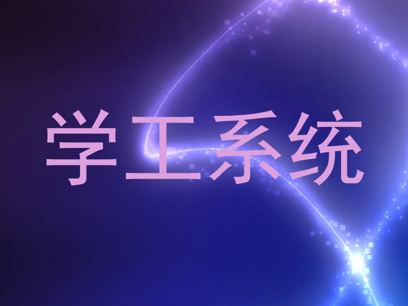 学工系统