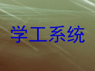 学工系统