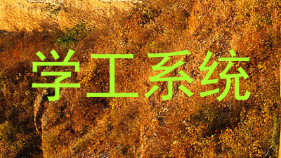 学工系统