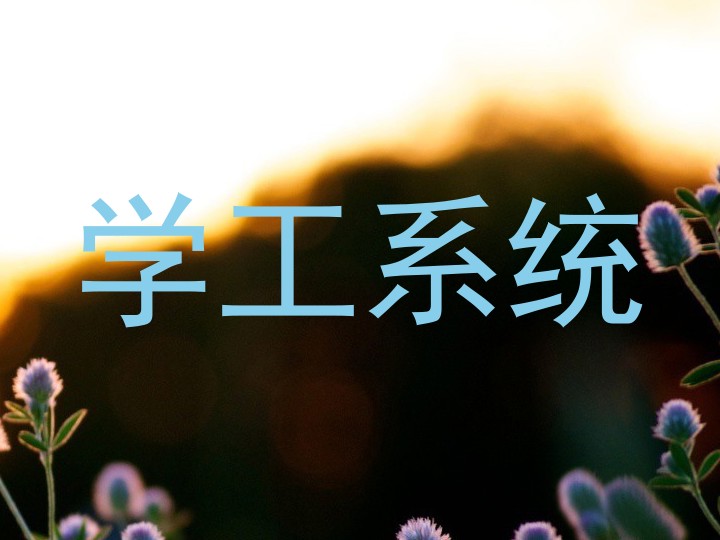 学工系统
