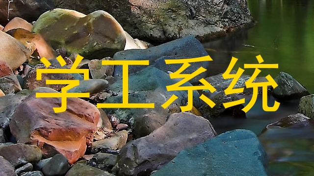 学工系统