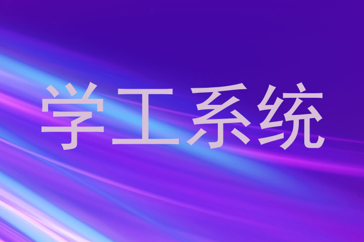 学工系统
