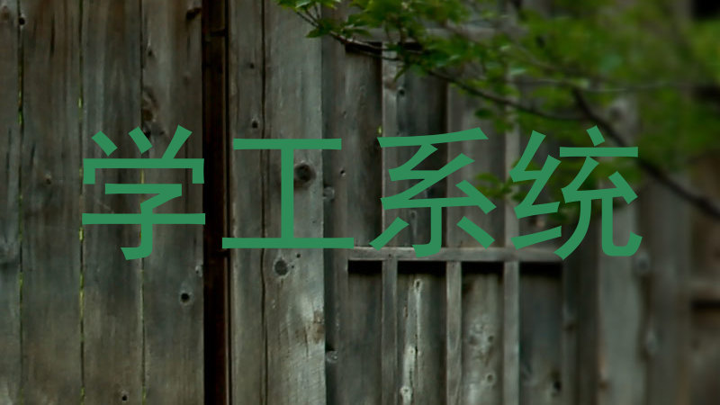 学工系统