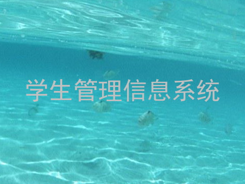 学生管理信息系统