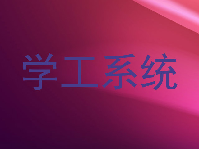 学工系统