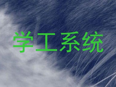 学工系统