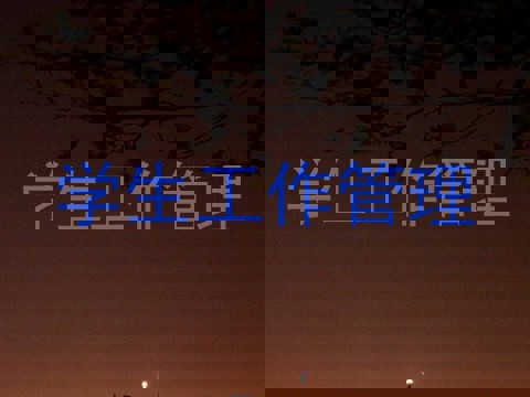 学生工作管理