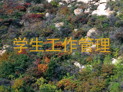 学生工作管理