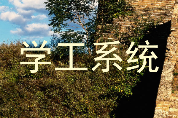 学工系统