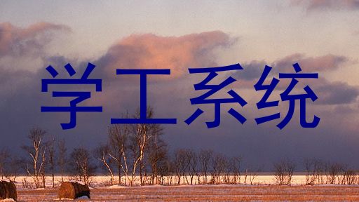 学工系统