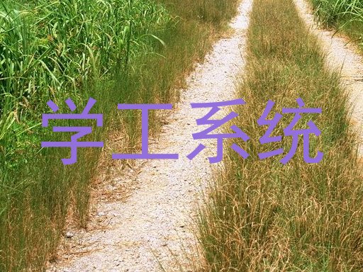 学工系统