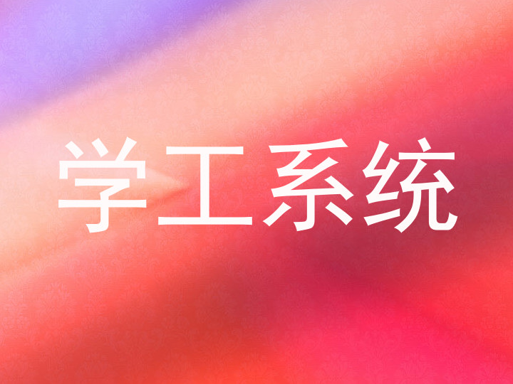 学工系统