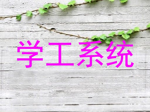 学工系统