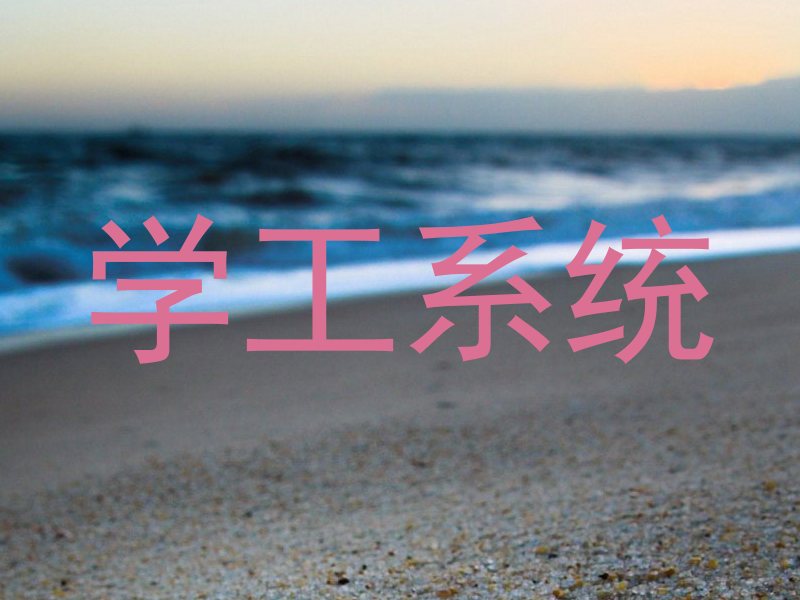 学工系统