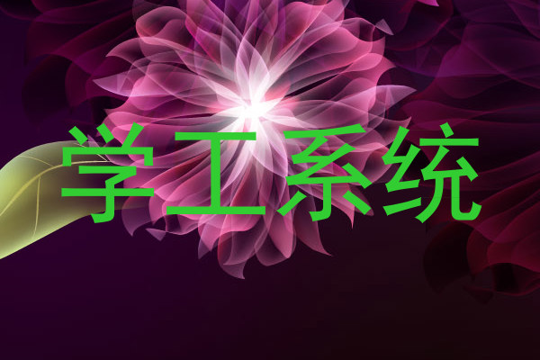 学工系统