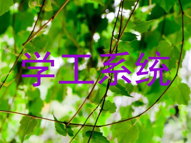 学工系统