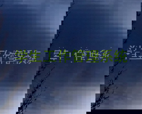 学生工作管理系统