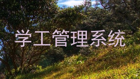 学工管理系统