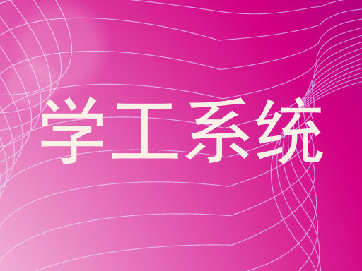 学工系统