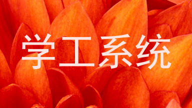 学工系统