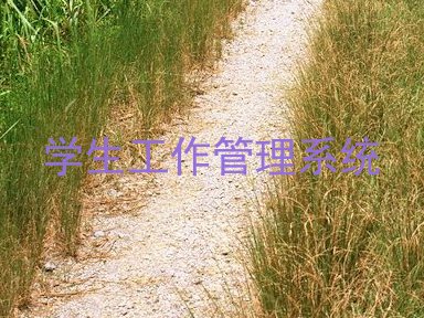 学生工作管理系统