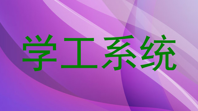 学工系统