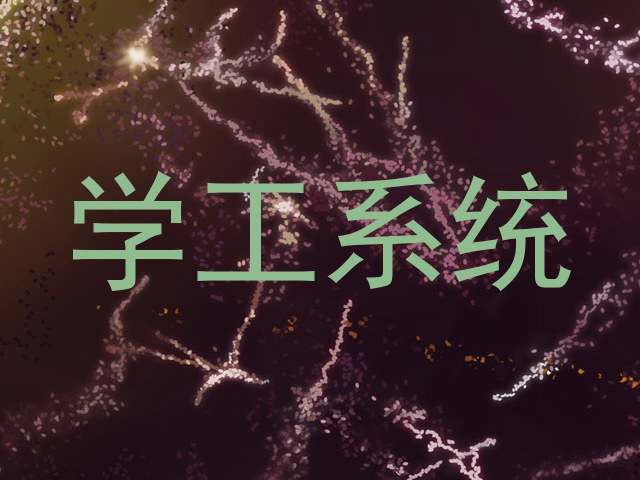 学工系统