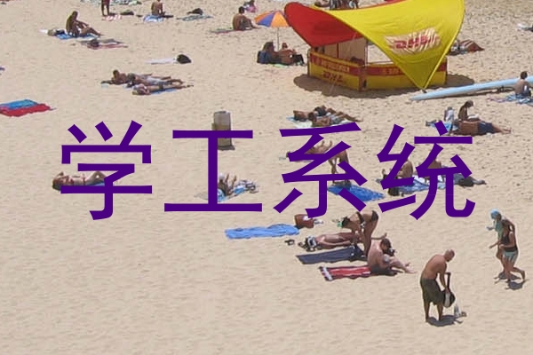 学工系统