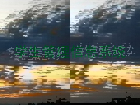 学生管理信息系统